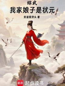 综武：我家娘子是状元